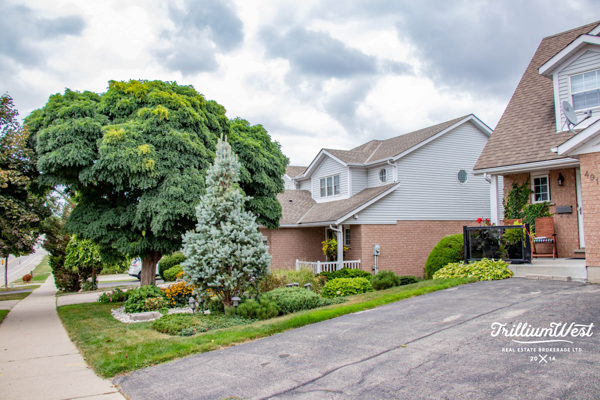 HighlandWestgallery 24 of 