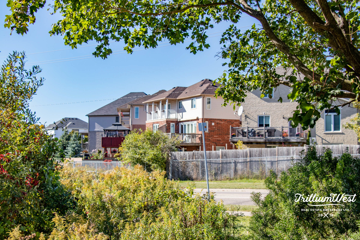 HighlandWestgallery 30 of 