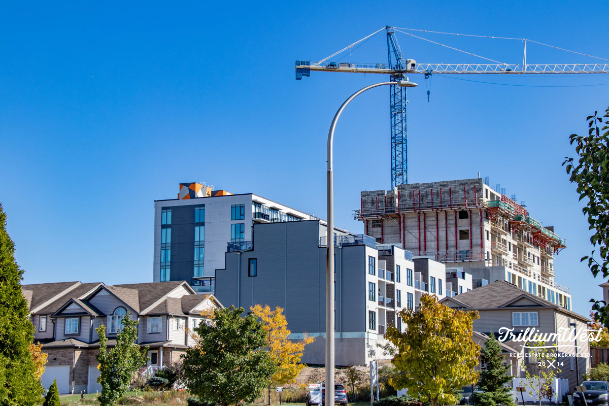 HighlandWestgallery 32 of 