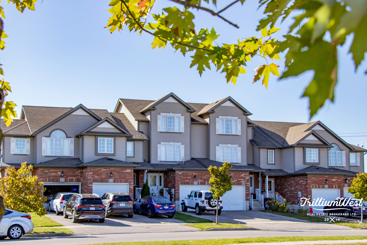 HighlandWestgallery 34 of 