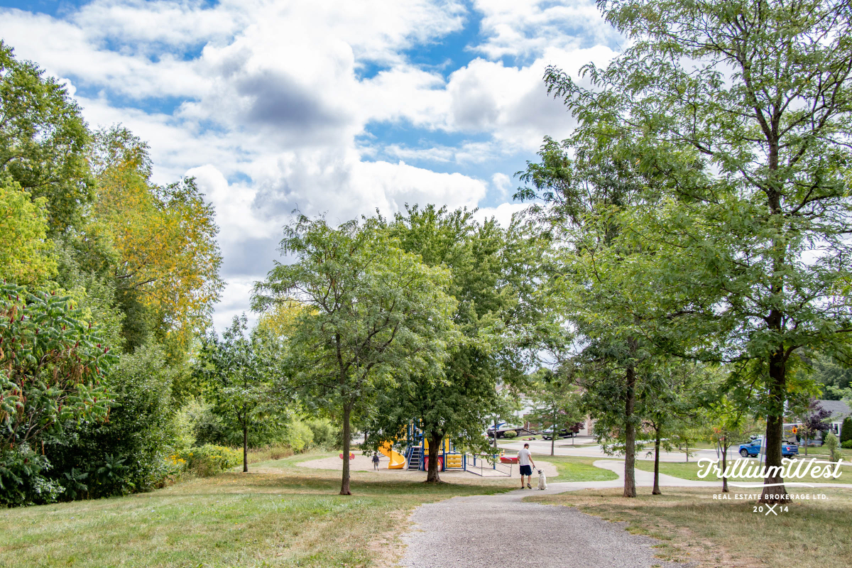 HighlandWestgallery 5 of 