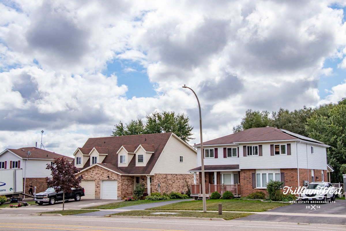 HighlandWestgallery 7 of 