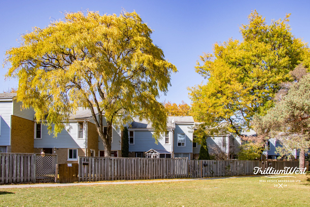 TrilliumWest Real Estate Brokerage TW Neighbourhoods June Ave