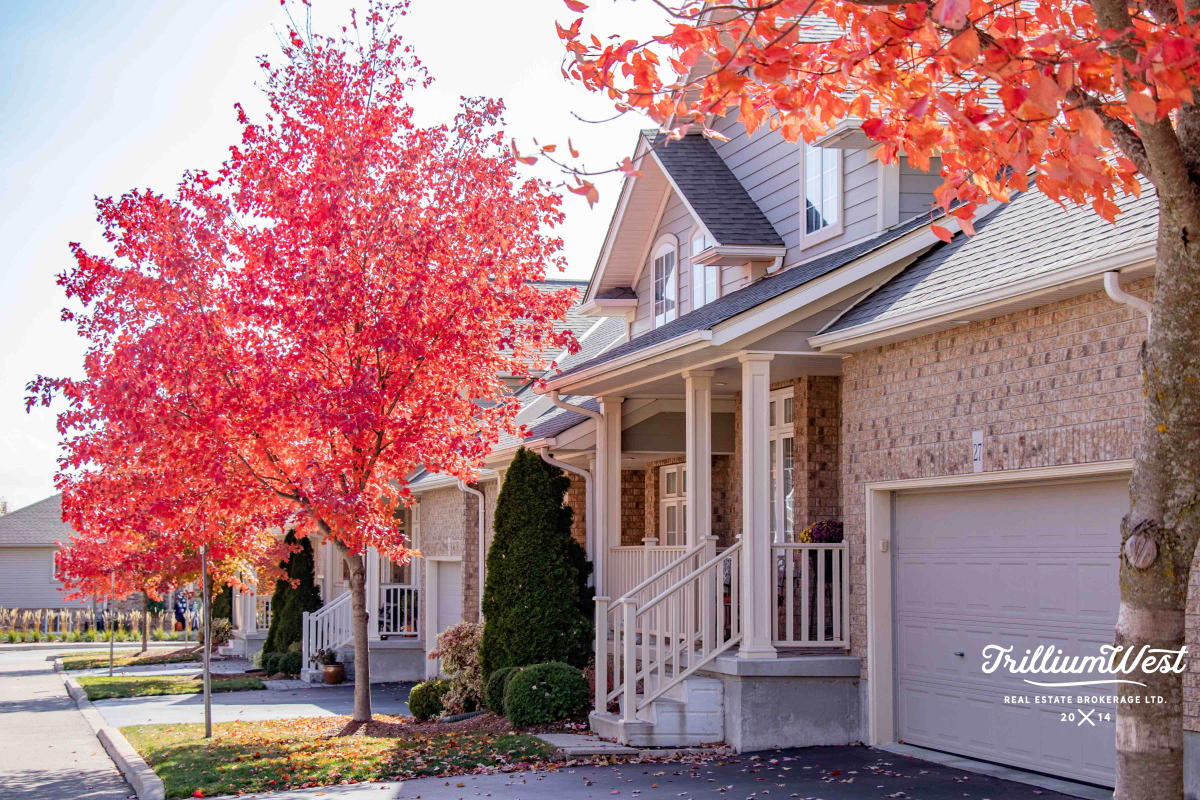 Lacknerproperties 1 of 