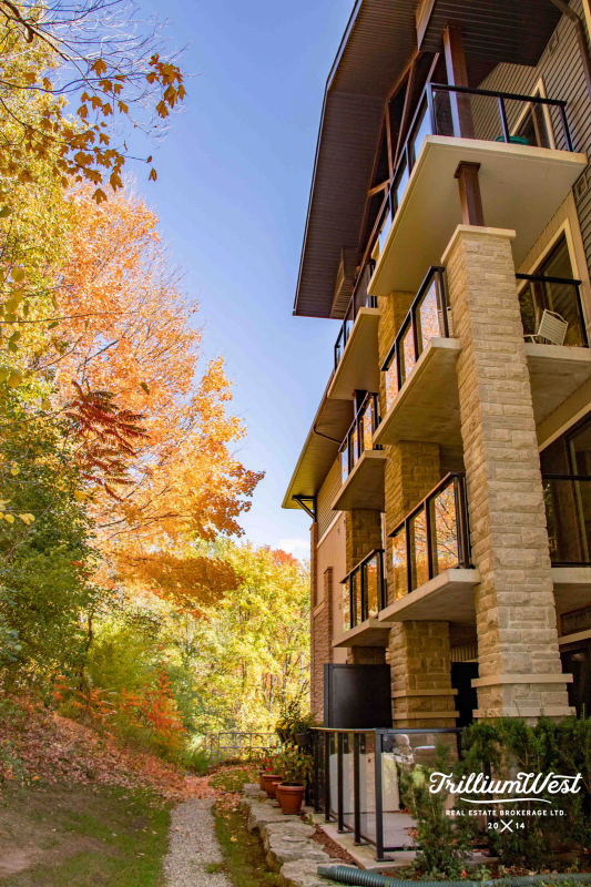 Lacknerproperties 2 of 