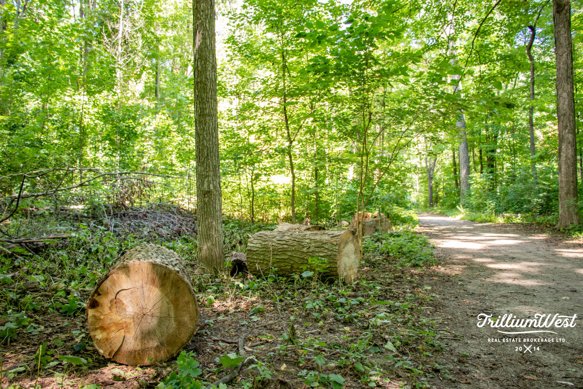 Lakeshoregallery 12 of 