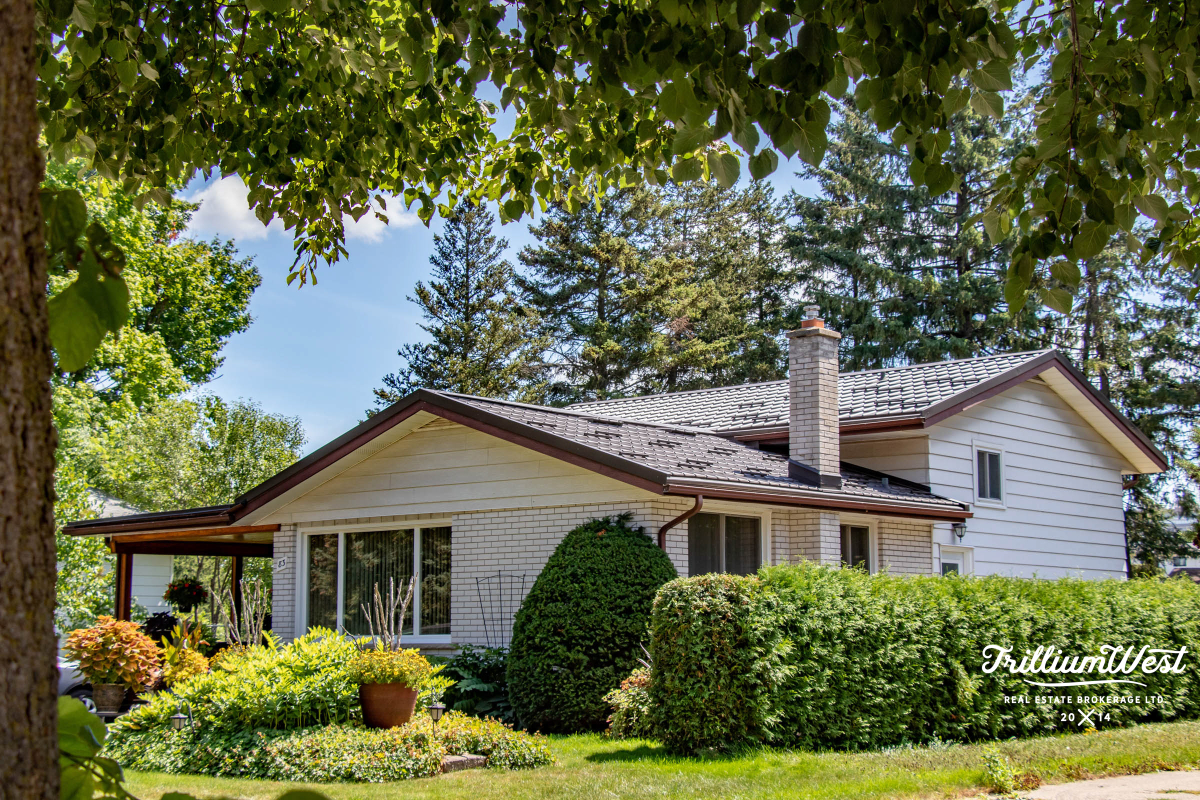 Lakeshoregallery 15 of 