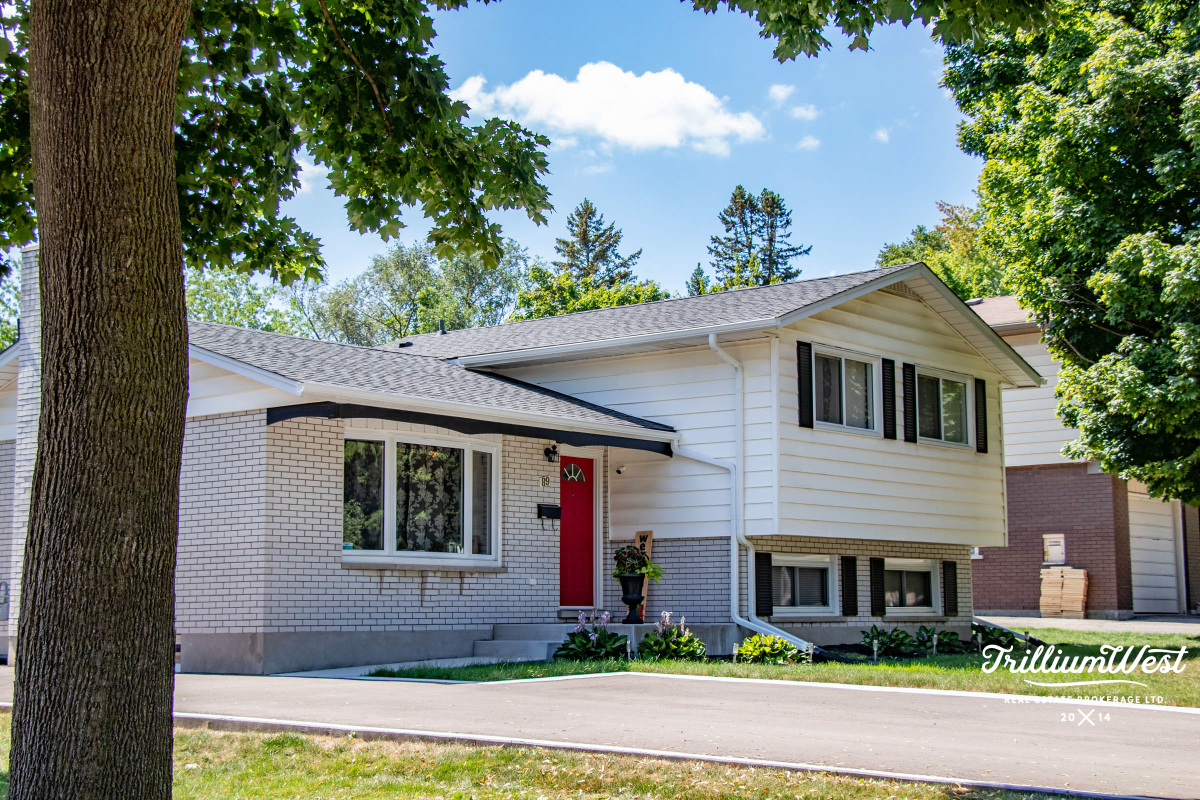 Lakeshoregallery 16 of 