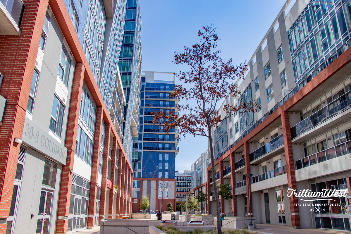 Lakeshoregallery 2 of 