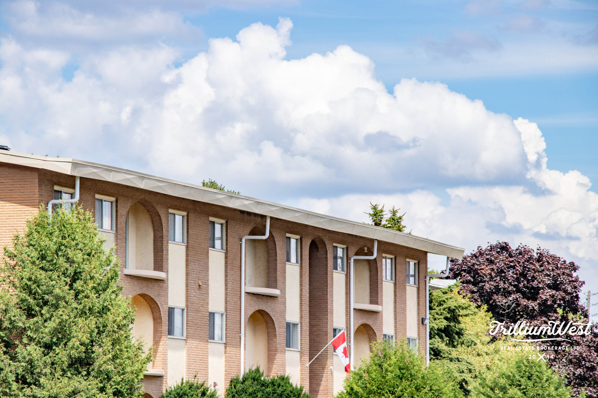 Lakeshoregallery 36 of 