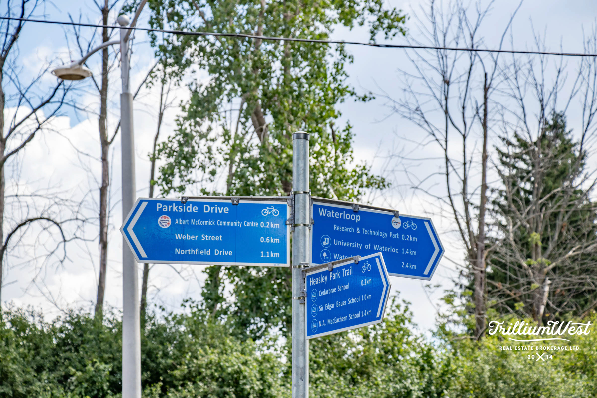 Lakeshoregallery 38 of 