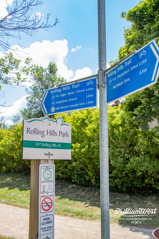 Lakeshoregallery 50 of 