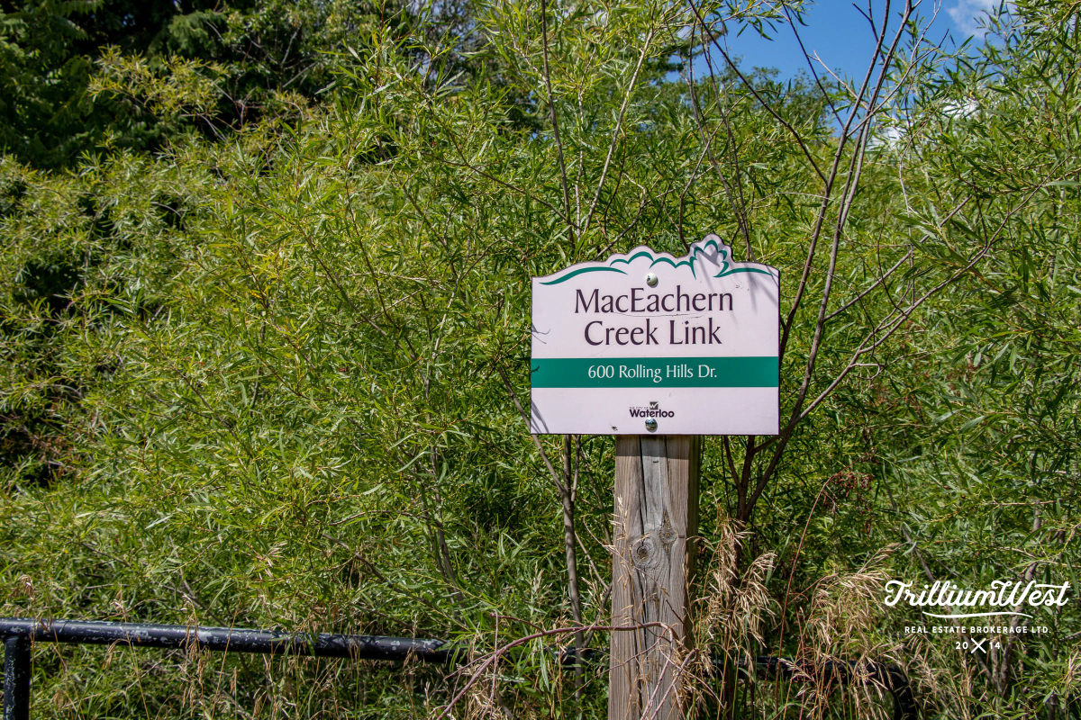 Lakeshoregallery 51 of 