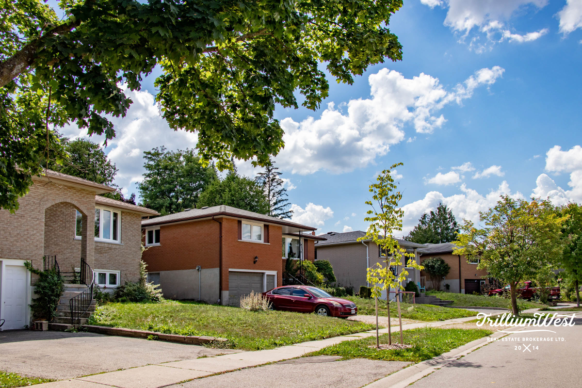 Lakeshoregallery 53 of 