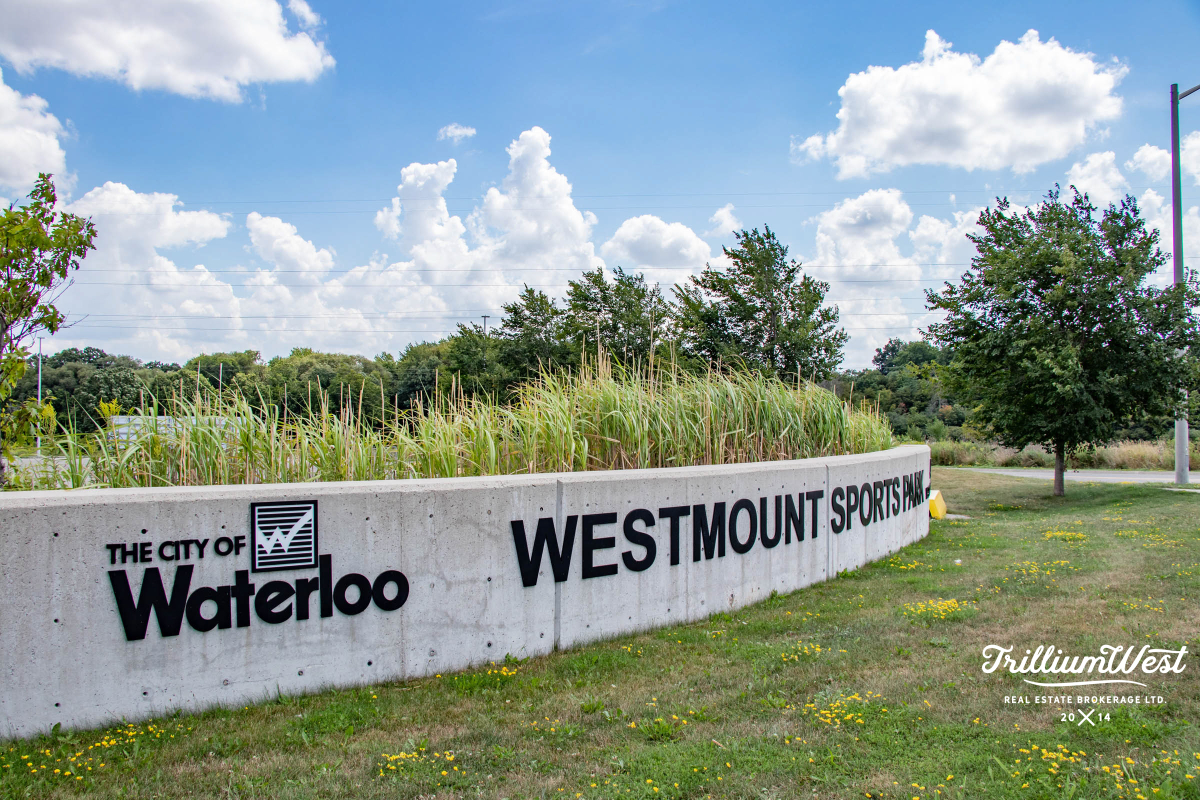 Lakeshoregallery 61 of 