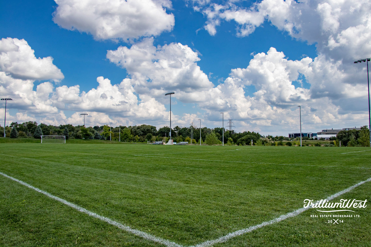 Lakeshoregallery 62 of 