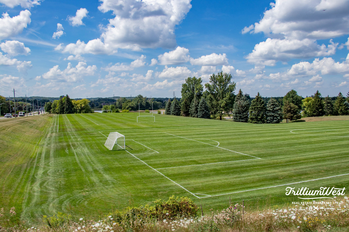 Lakeshoregallery 64 of 