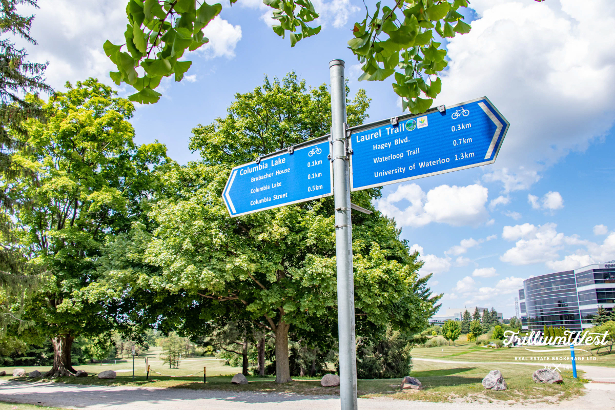 Lakeshoregallery 69 of 