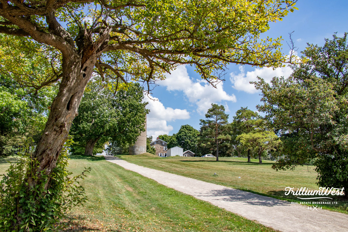 Lakeshoregallery 77 of 