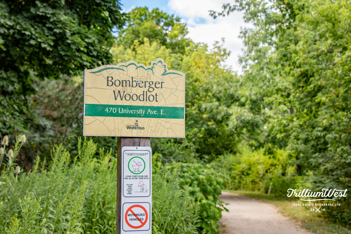 Lexingtongallery 10 of 