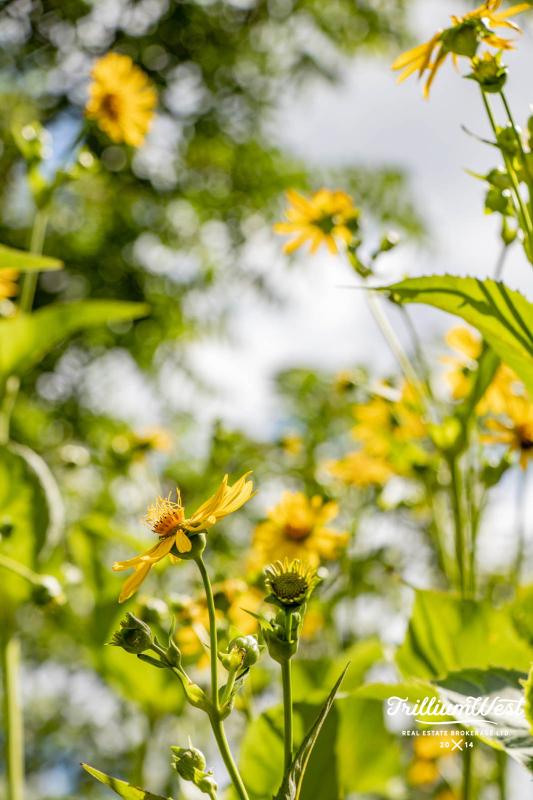 Lexingtongallery 12 of 