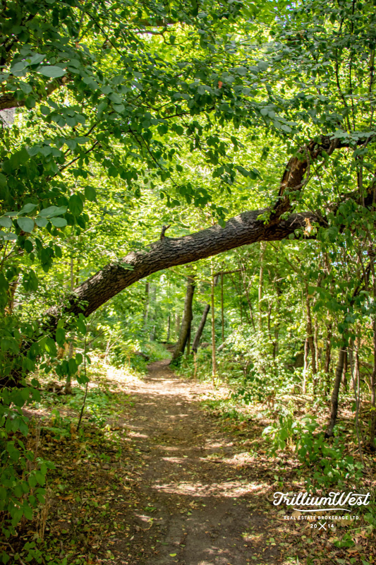 Lexingtongallery 13 of 