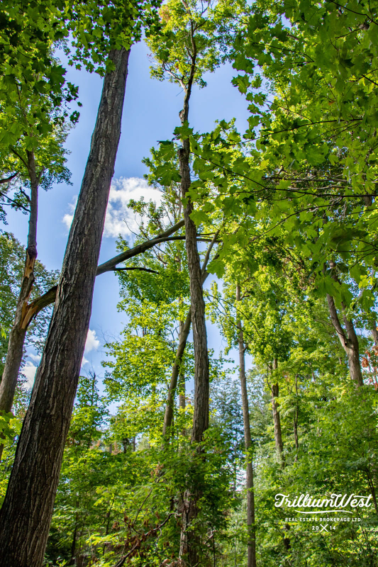 Lexingtongallery 15 of 