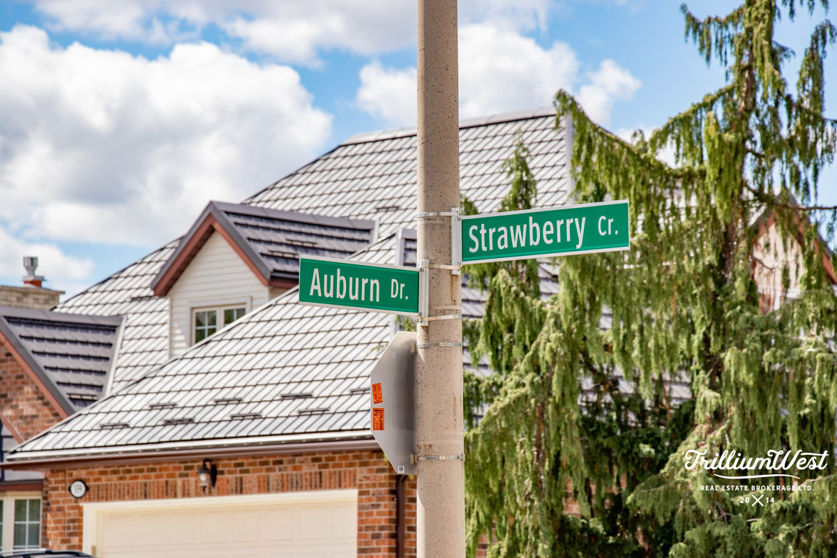 Lexingtongallery 6 of 