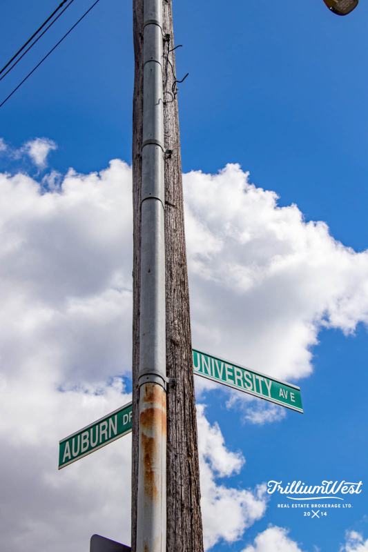 Lexingtongallery 7 of 