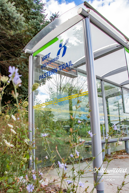 Lexingtongallery 9 of 