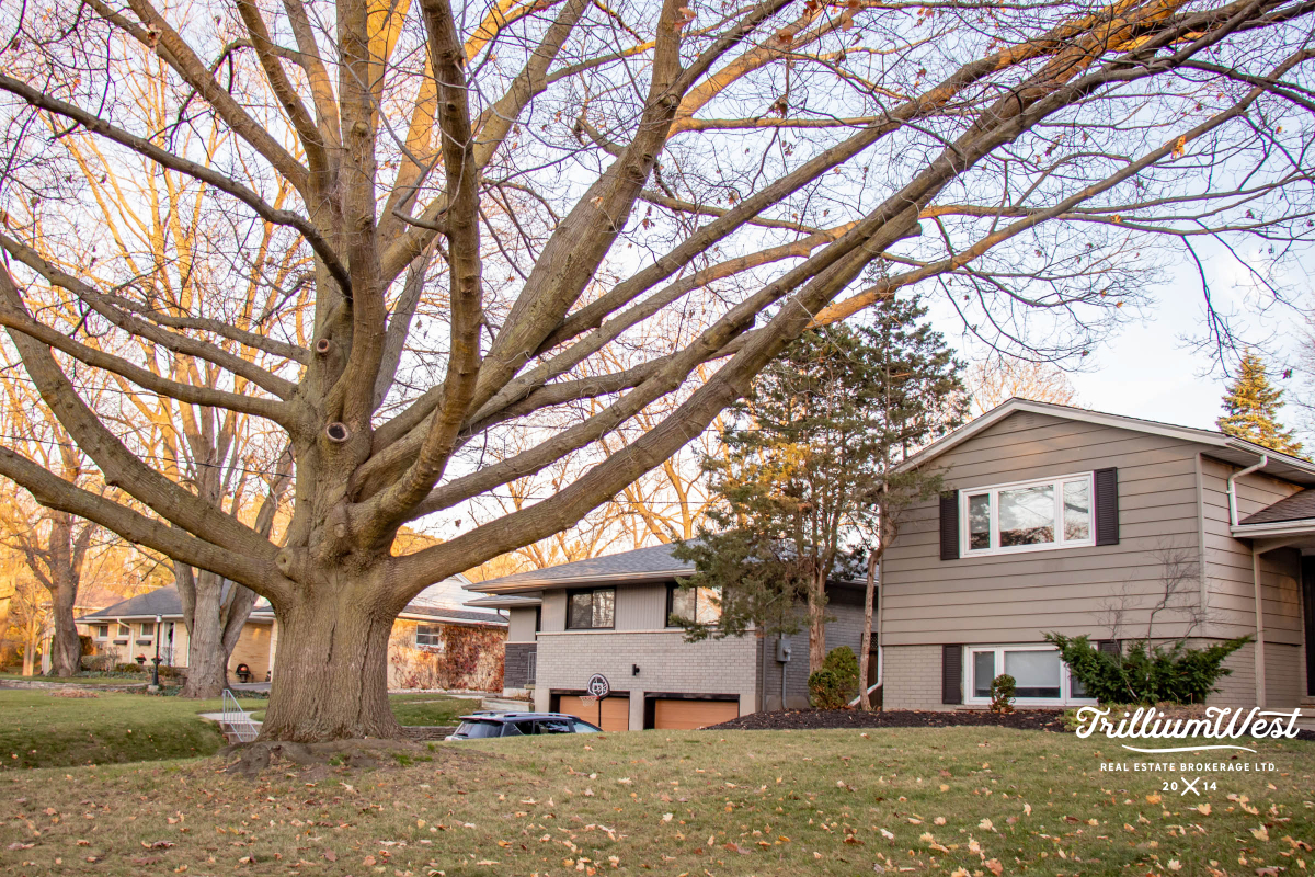 LincolnHeightsgallery 50 of 