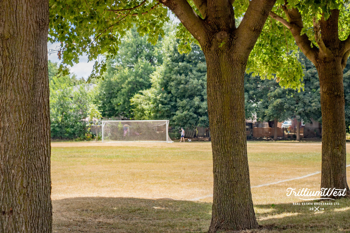 LincolnVillagegallery 6 of 