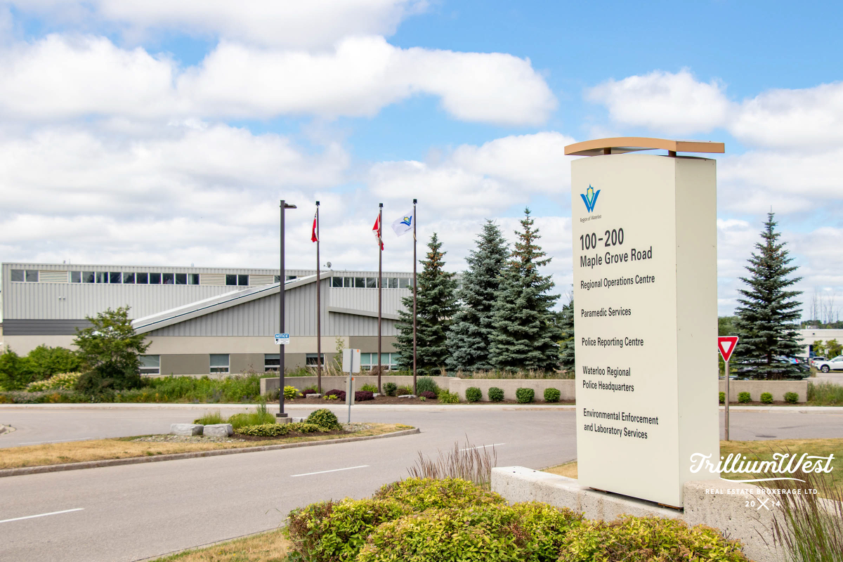 MapleGrovegallery 1 of 