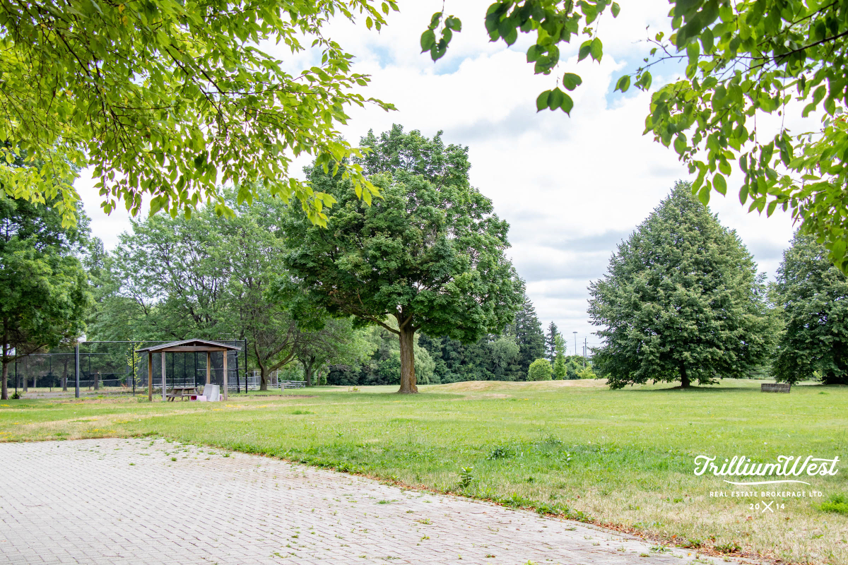 MapleGrovegallery 10 of 