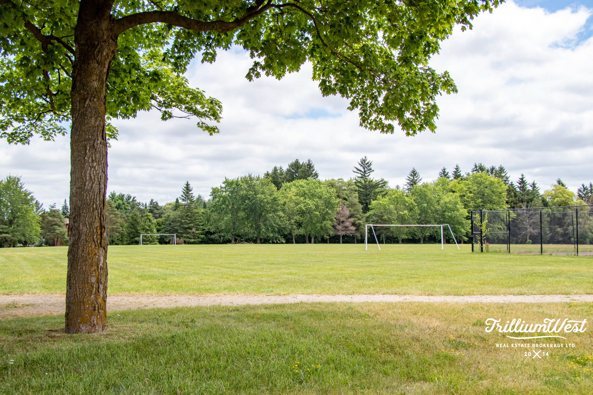 MapleGrovegallery 11 of 