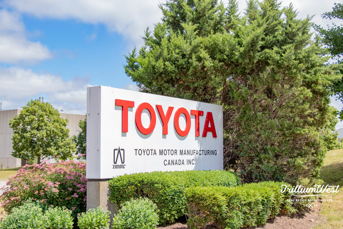 MapleGrovegallery 13 of 