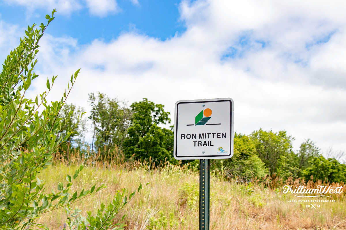 MapleGrovegallery 15 of 