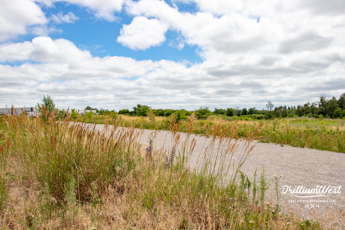 MapleGrovegallery 16 of 