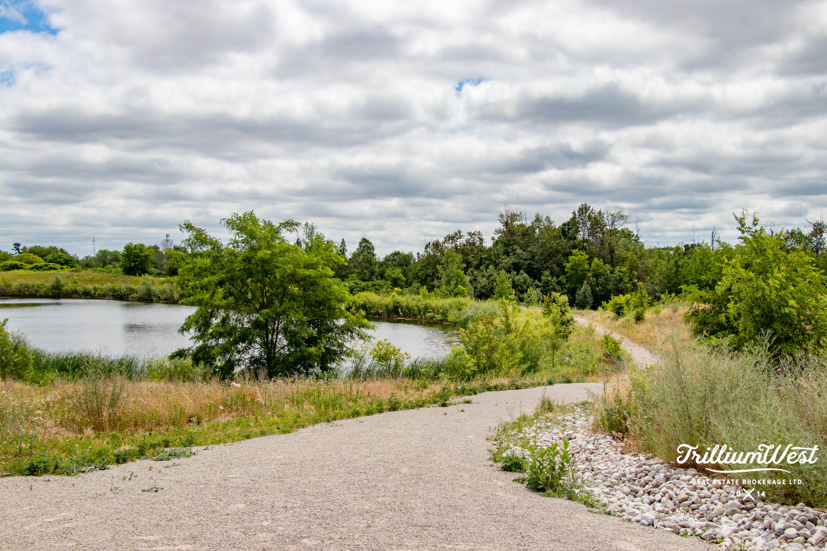 MapleGrovegallery 17 of 