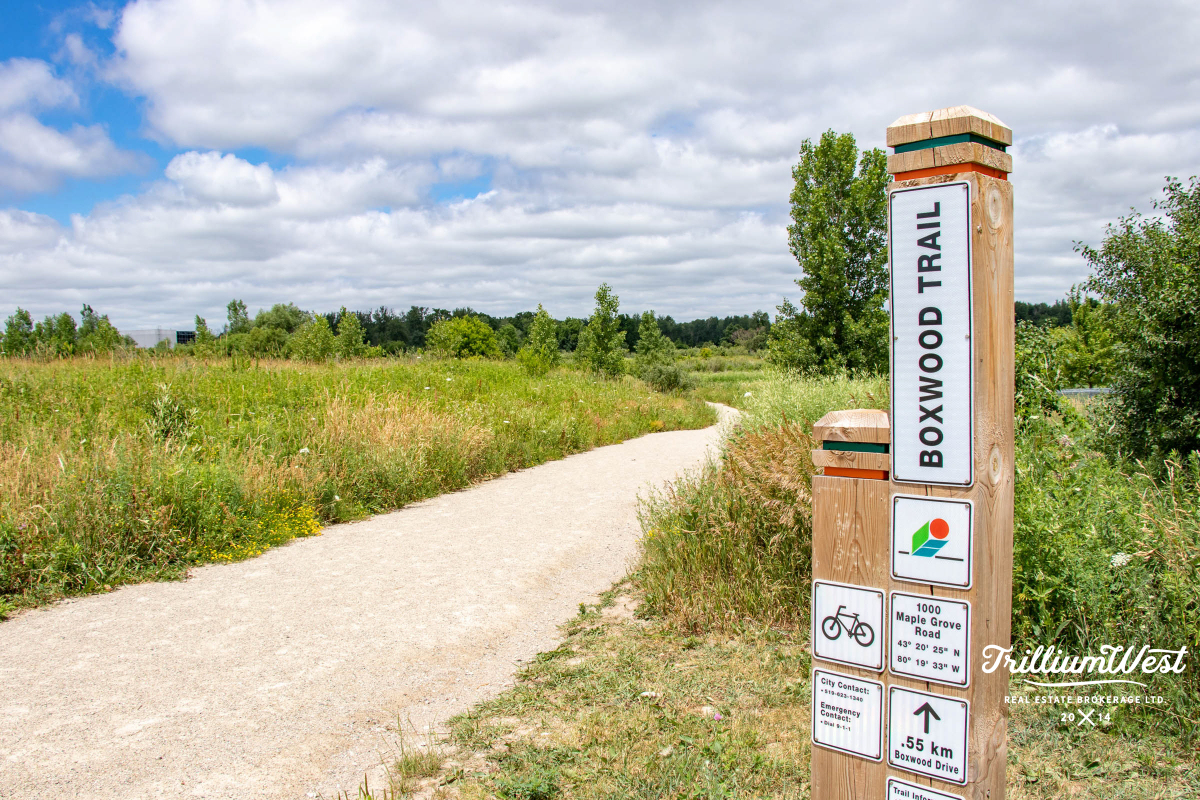 MapleGrovegallery 19 of 