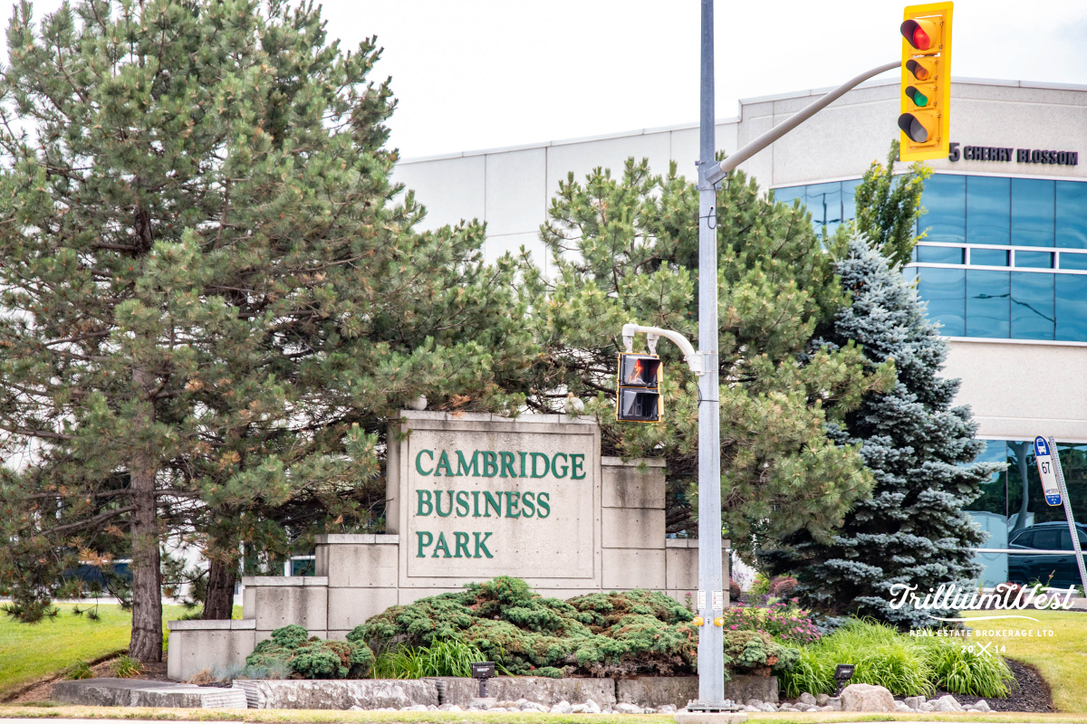 MapleGrovegallery 2 of 