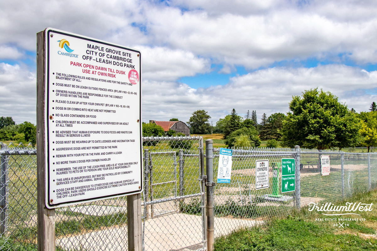 MapleGrovegallery 20 of 