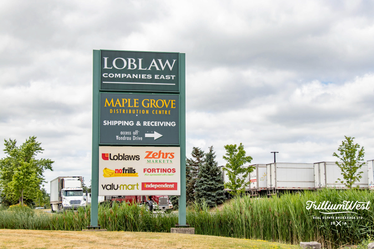 MapleGrovegallery 23 of 