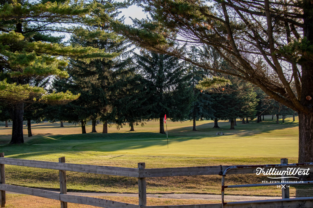 MapleGrovegallery 26 of 