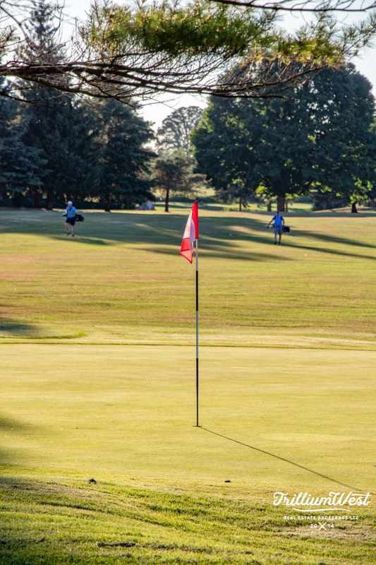 MapleGrovegallery 29 of 