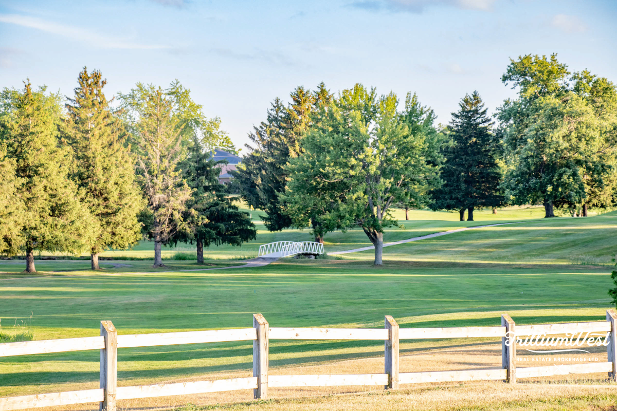 MapleGrovegallery 31 of 