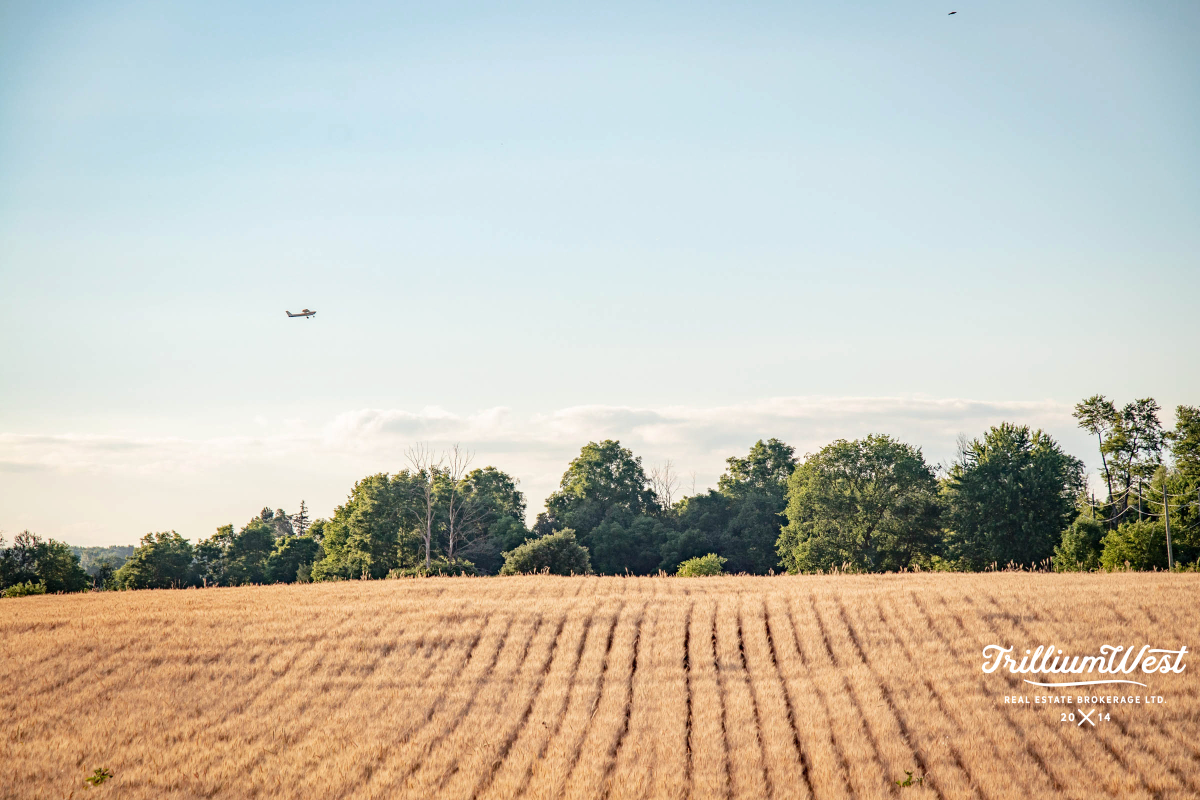 MapleGrovegallery 33 of 