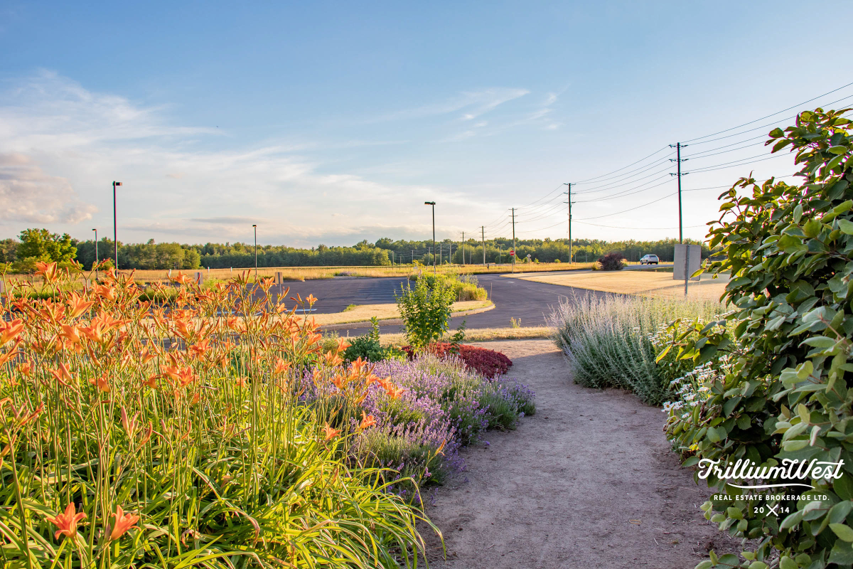 MapleGrovegallery 34 of 