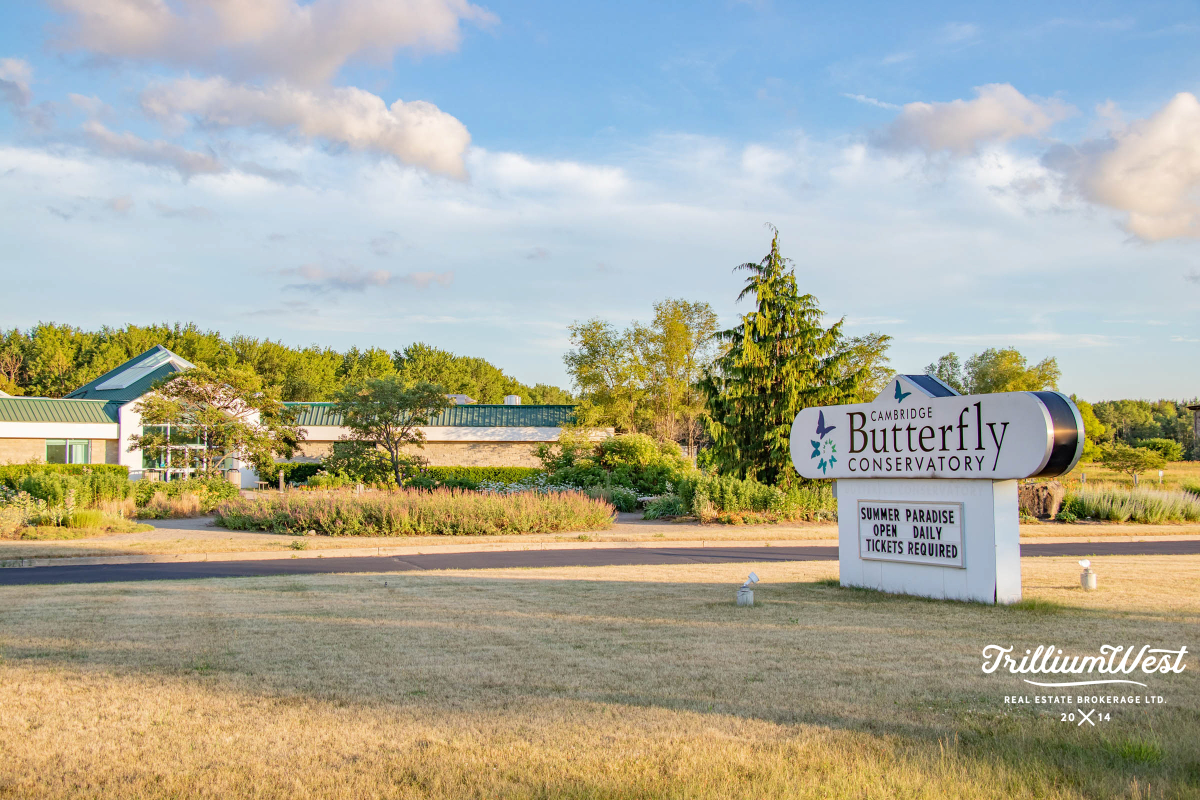 MapleGrovegallery 35 of 