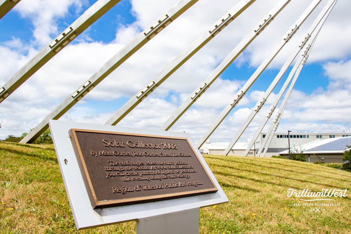 MapleGrovegallery 4 of 